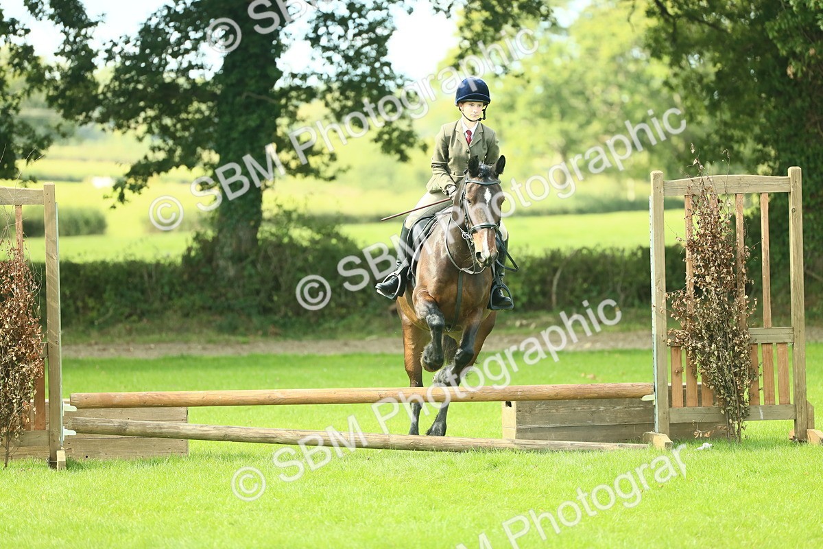 SBM_42042 - S29 - Novice & Newcomers Working Hunter Pony