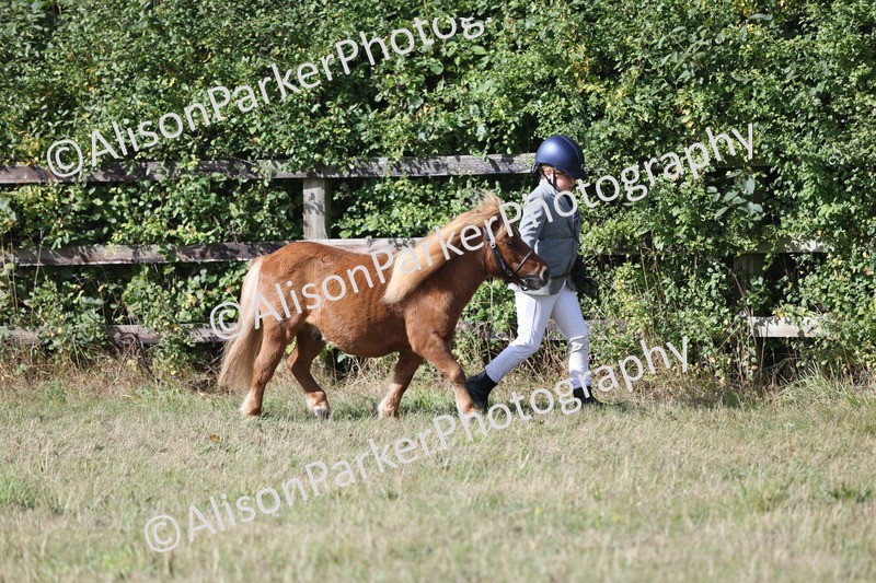 20250831-1607 - Previous show - Lambourn 2025