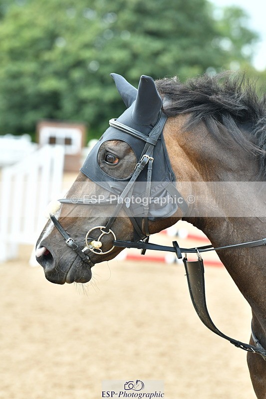 230813A-121449-11877 - Cls 41 85cm National Amateur Qualifier