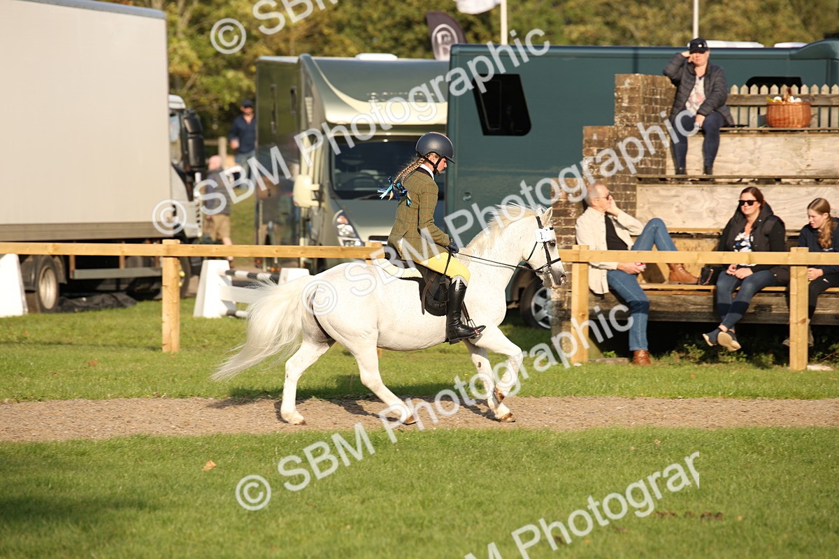 SBM_54344 - S27 - Mature Veteran - Ridden