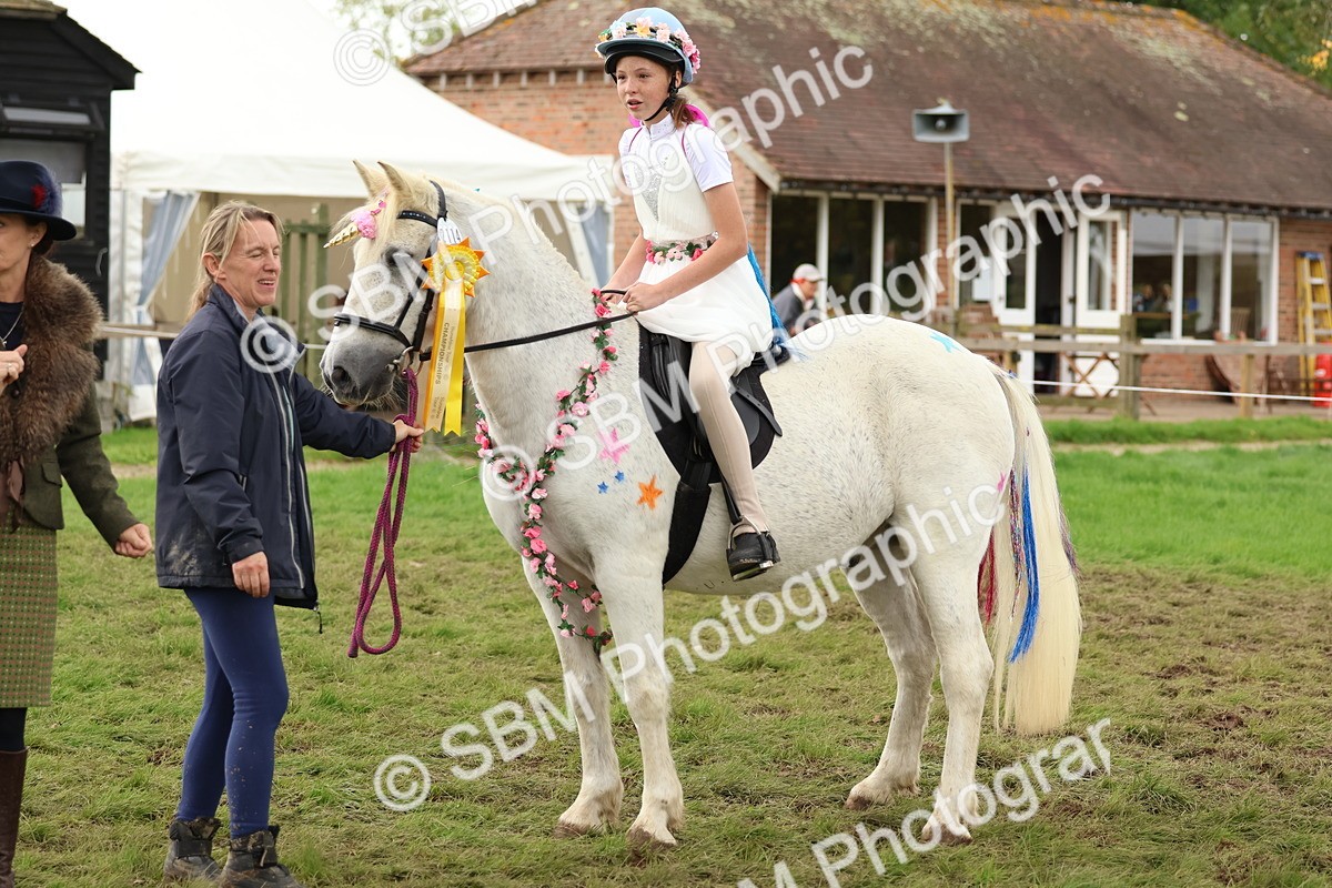 SBM_62239 - S37b - Best Unicorn