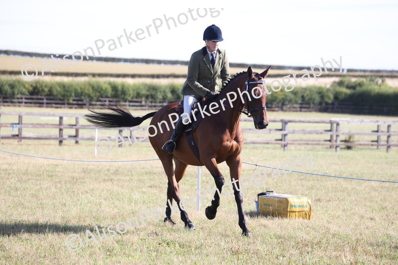 20260906-0356 - Class 14 - Ex Racehorse