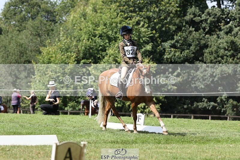 250823A-135416-31391 - Arena D