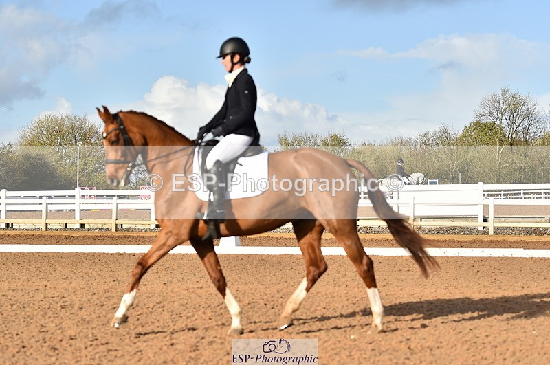 231104A-135018-01937 - Cls 10 Medium 61