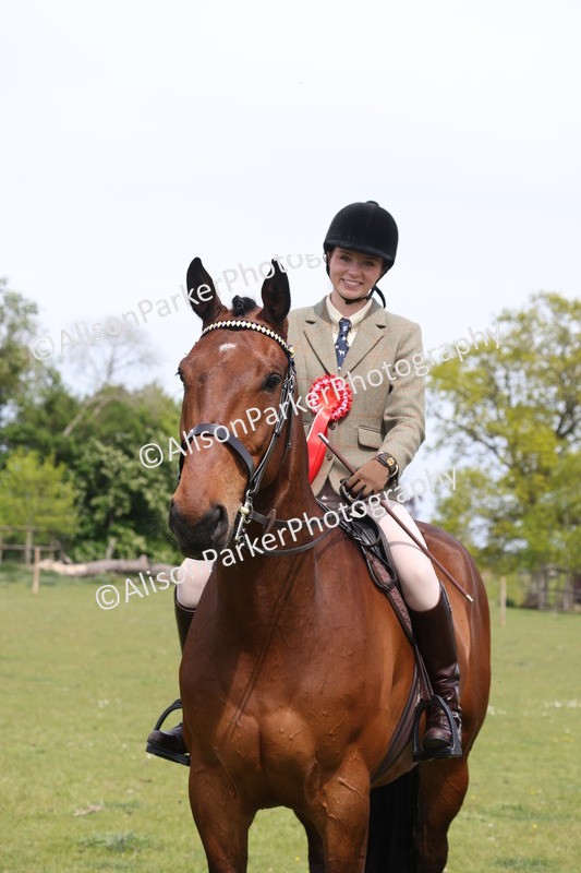 20260426-4427 - Class 34 - Best Riding Horse Over 14.2hh