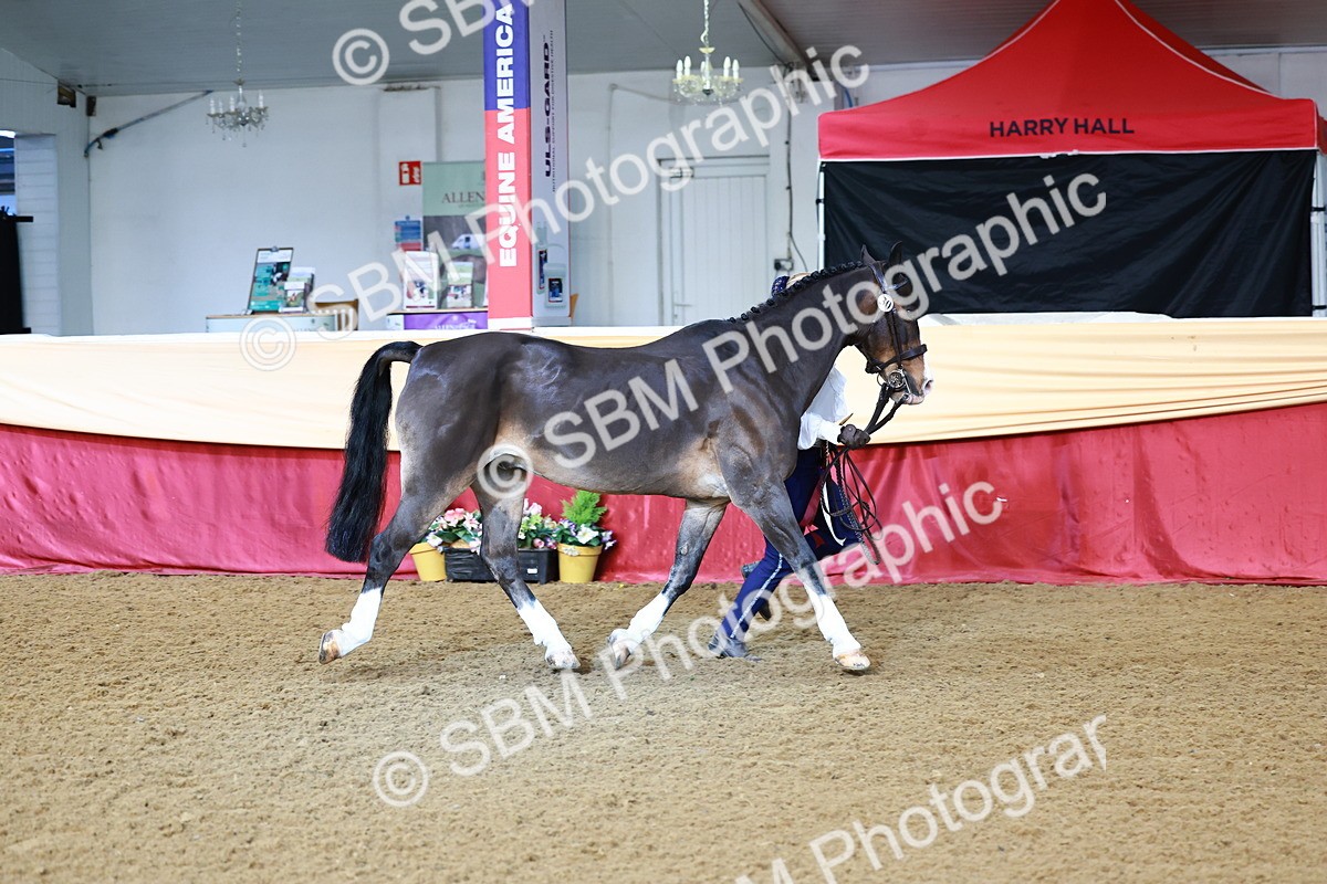 SBM_21946 - Class 901 - Supreme Final - IH  Diamond