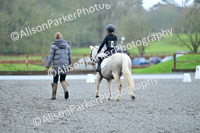 20260125-0843 - Class 9a - Walk Trot Assisted