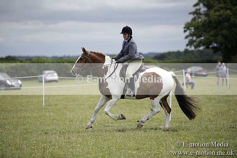 BVR160717-1897 - Ring 1 BVRC Show 16/07/17