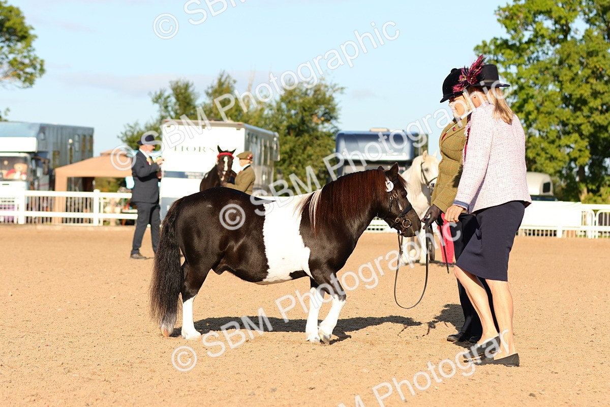 SBM_08016 - Class 201 - Best Turned Out - IH