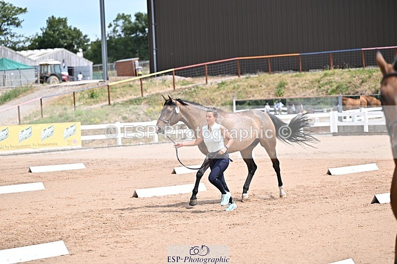250716-125554-00229 - Trot Up 12.30 to 1.30