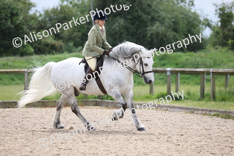 20250524-1240 - Class 13 - Mountain and Moorland Large Breeds