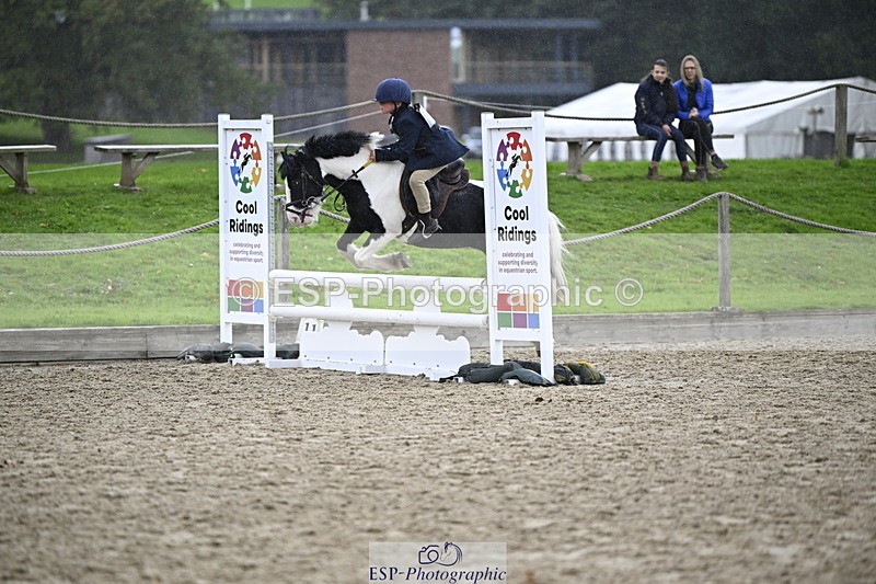 251005A-120416-03591 - Cls 08 Mini 70-75cm