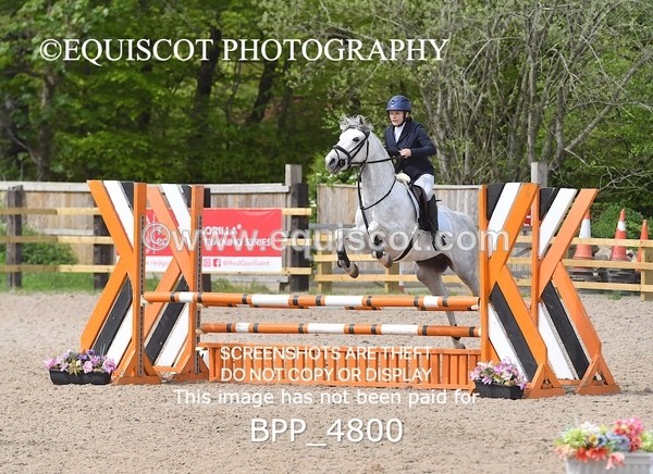 BPP_4800 - CLASS 14  SAT Senior British Novice/ 90cm Open