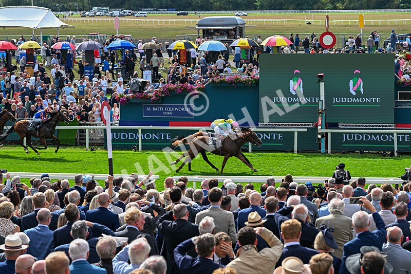 190826-Race 4-Item-1500 - Race 4 15.35pm Juddmonte International Stakes