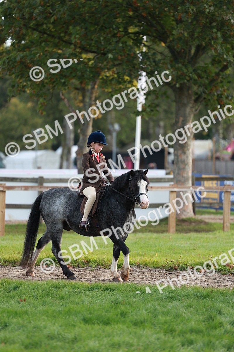 SBM_56284 - S39 - Starters In Hand Showing