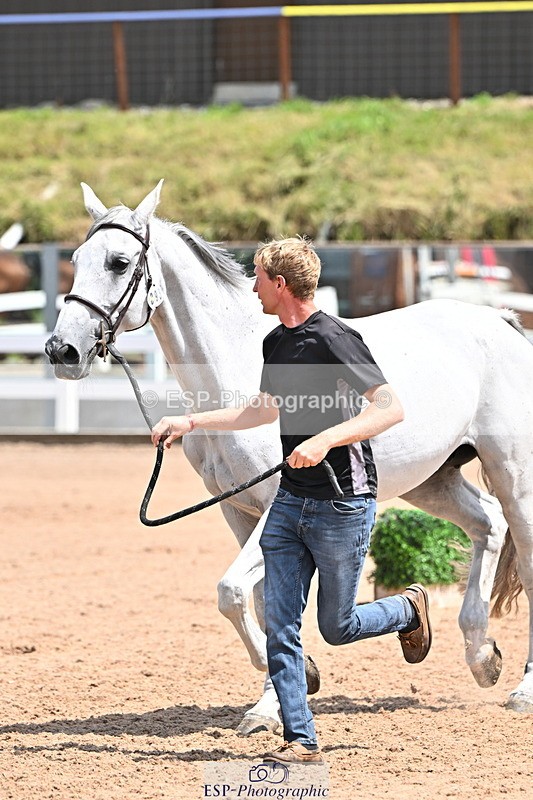 240718A-105313-01710 - Trot Up 1pm to 2pm
