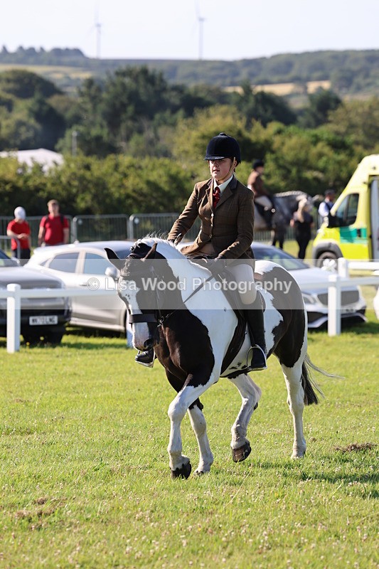 IMG_1378 - Class 28: Ridden Plaited Coloured Pony