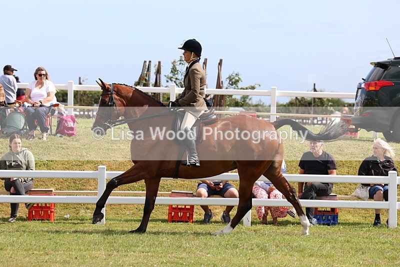 3E7A9378 - Class 4: Rising Star M/H Hunter