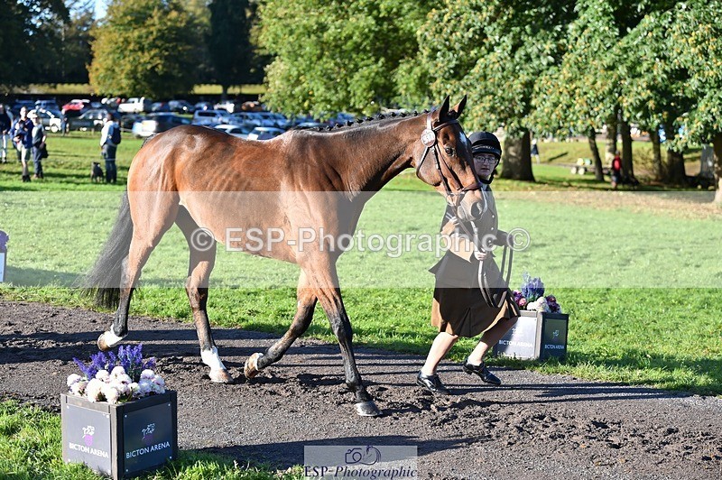 231022-094646-22024 - 450-NORDIC.FIRE-Lara.Hails-TrotUp+SJ