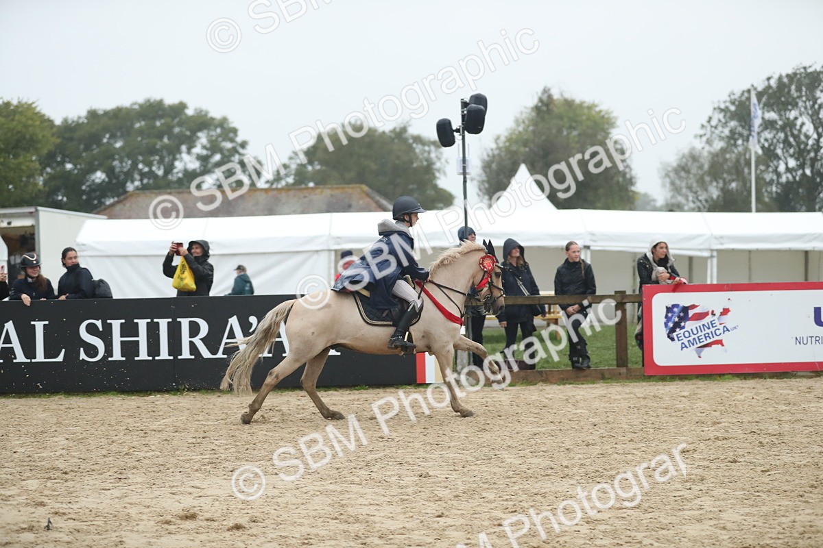 SBM_74357 - Supreme championship Junior Pony 70cm 75cm