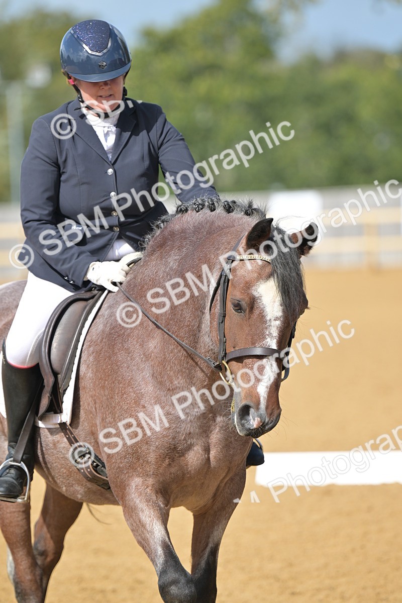 SBM_10951 - D3 - Small Tour Championship Intro 3
