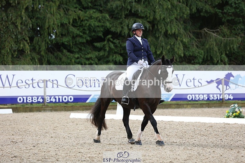 230812-111712-03715 - Cls 5 Novice Bronze 11.15 to 12.50 break