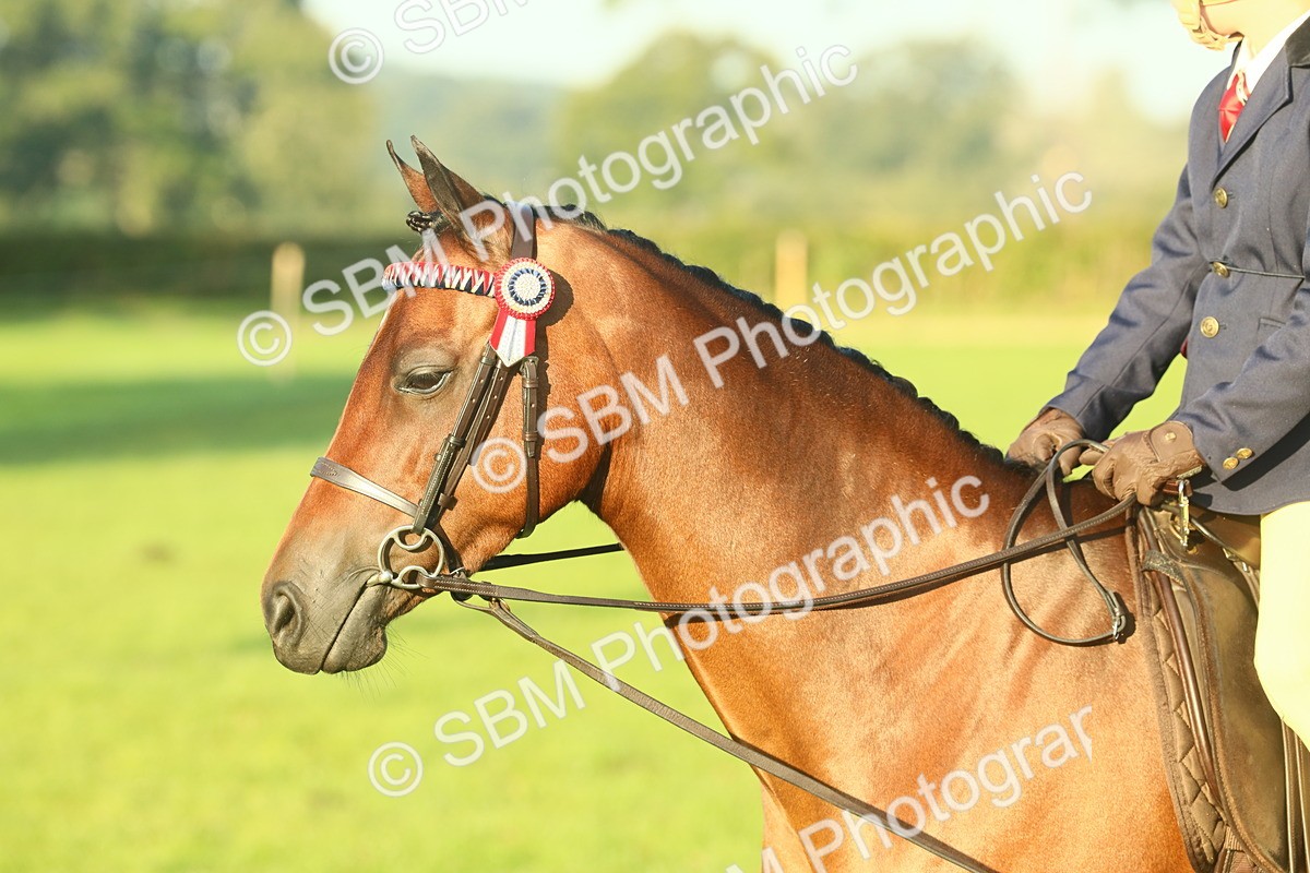 SBM_56709 - S36 - Starters Best Turnout