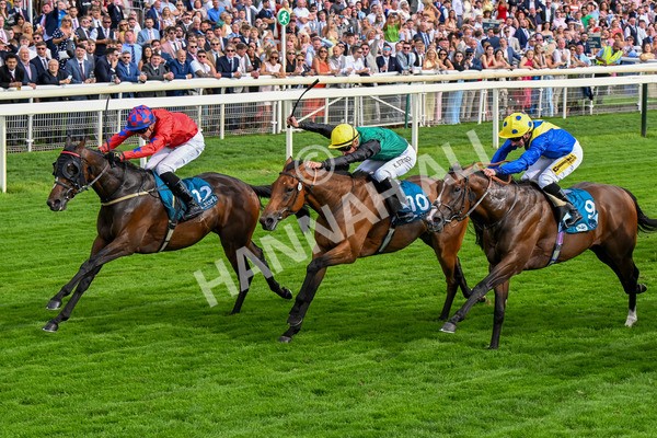 260725-Race 7-Chesneys Charm-0913 - Race 7 5.00pm Sky Bet Extra Places Every Day Handicap