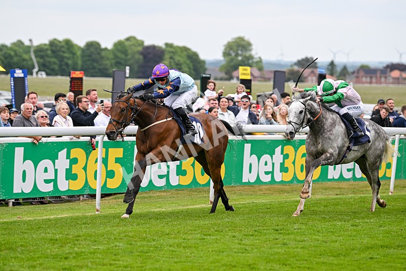 240525-Race 5-Mysteryofthesands-1559 - Race 5