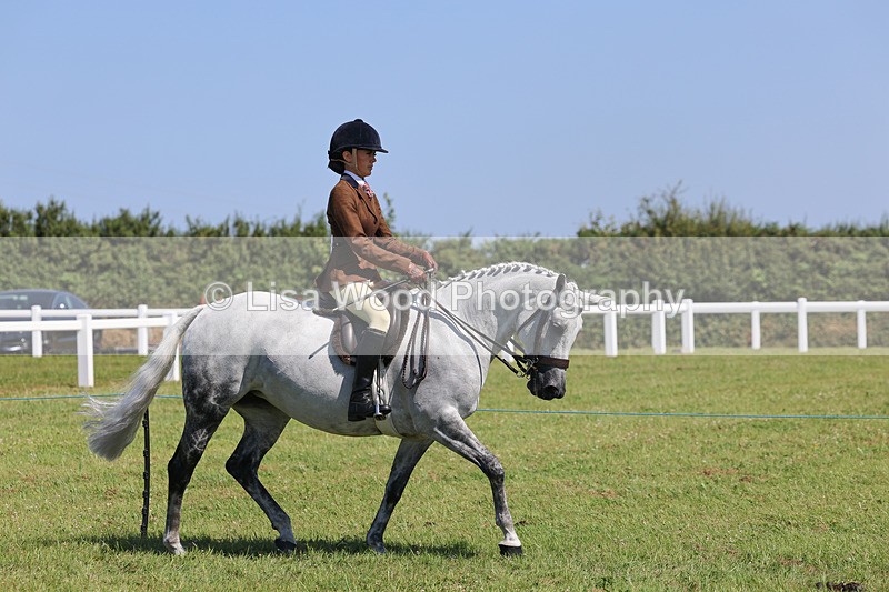 IMG_2168 - Class 36: Part Bred Ridden M & M