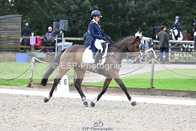 231019-122252-02747 - 044-COOLEY.ON.THE.CARDS-Charlotte.Cooke-DR