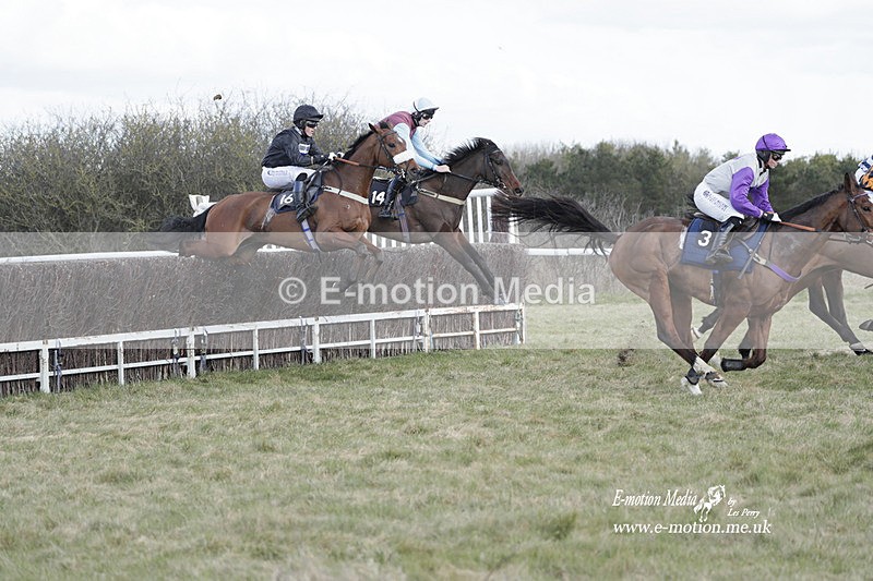 PtP 260223 426 - South & West Wilts Point-to-Point Larkhill 26/02/23