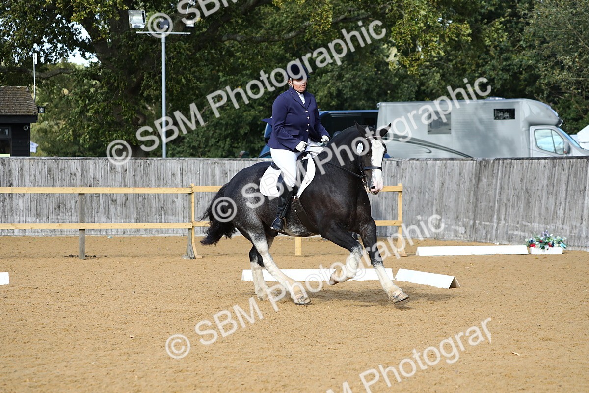 SBM_24513 - D11 - Small Tour Championship Prelim 1