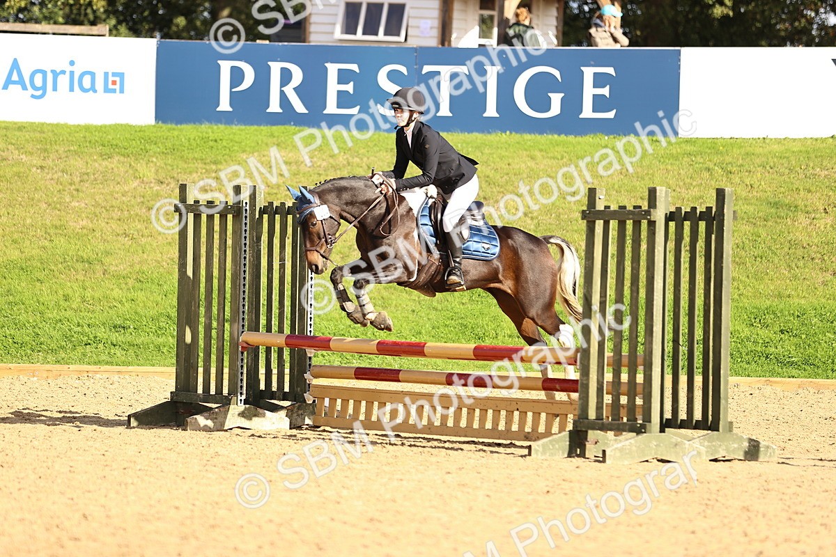 SBM_51323 - J10 - Junior Pony 75cm Championship
