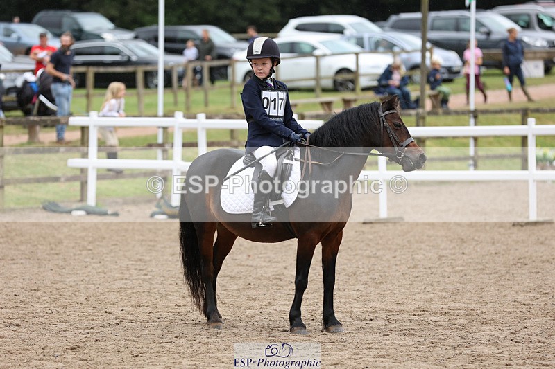 240822X-142918-09219 - 40cm A R1 14.20 to 15.30