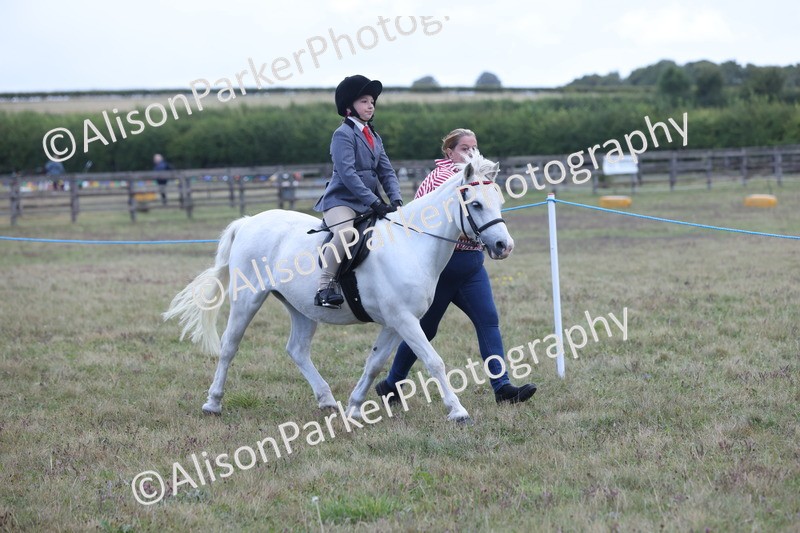 20250831-2376 - Class 16 - Family Pony