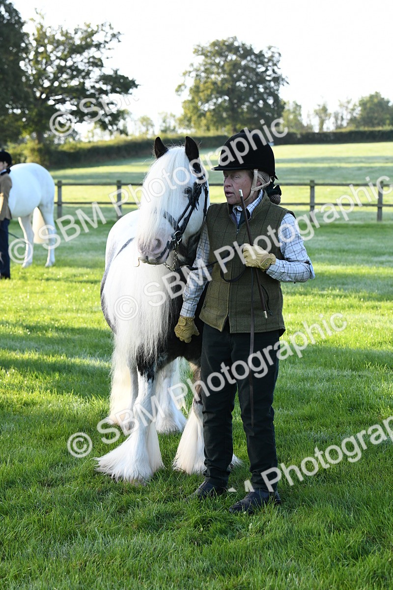 SBM_32662 - S15 - Condition & Turnout In Hand