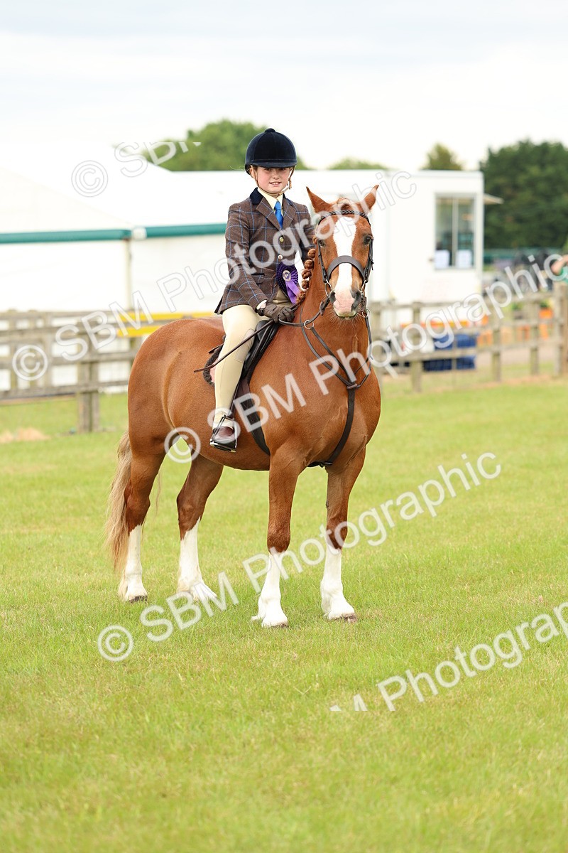 SBM_10418 - Class 44-45 - LIHS BSPS Open Nursery and Cradle Stakes