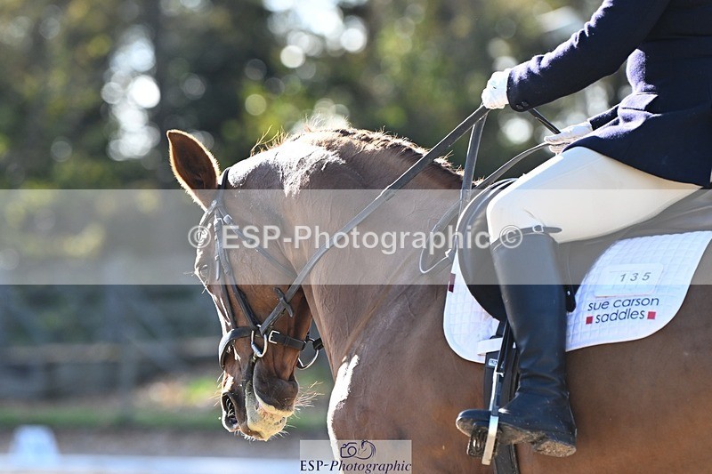 231110-122221-00675 - Cls 3 Novice 22