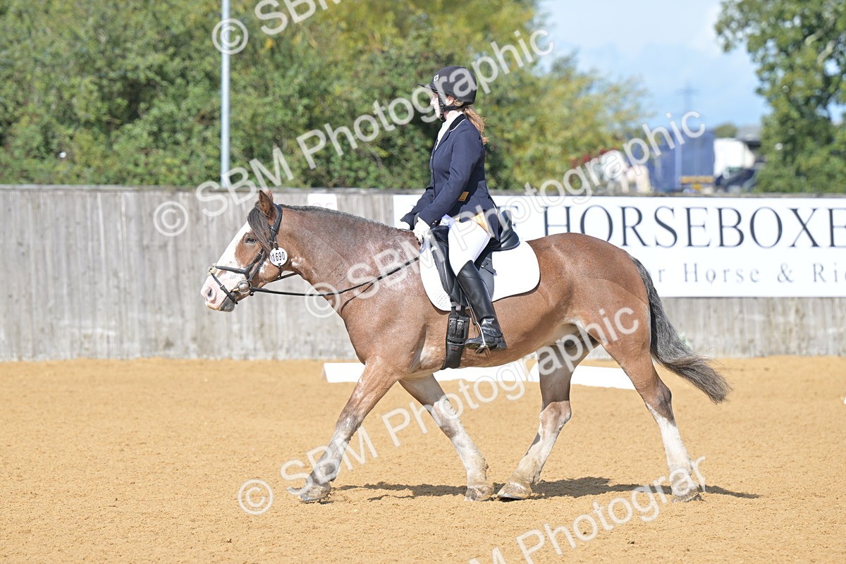 SBM_03908 - D2 - Small Tour Championship Intro 2