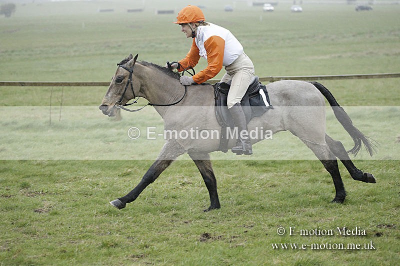 PtP 150320 0089 - New Forest Point-to-Point Larkhill 15/03/20