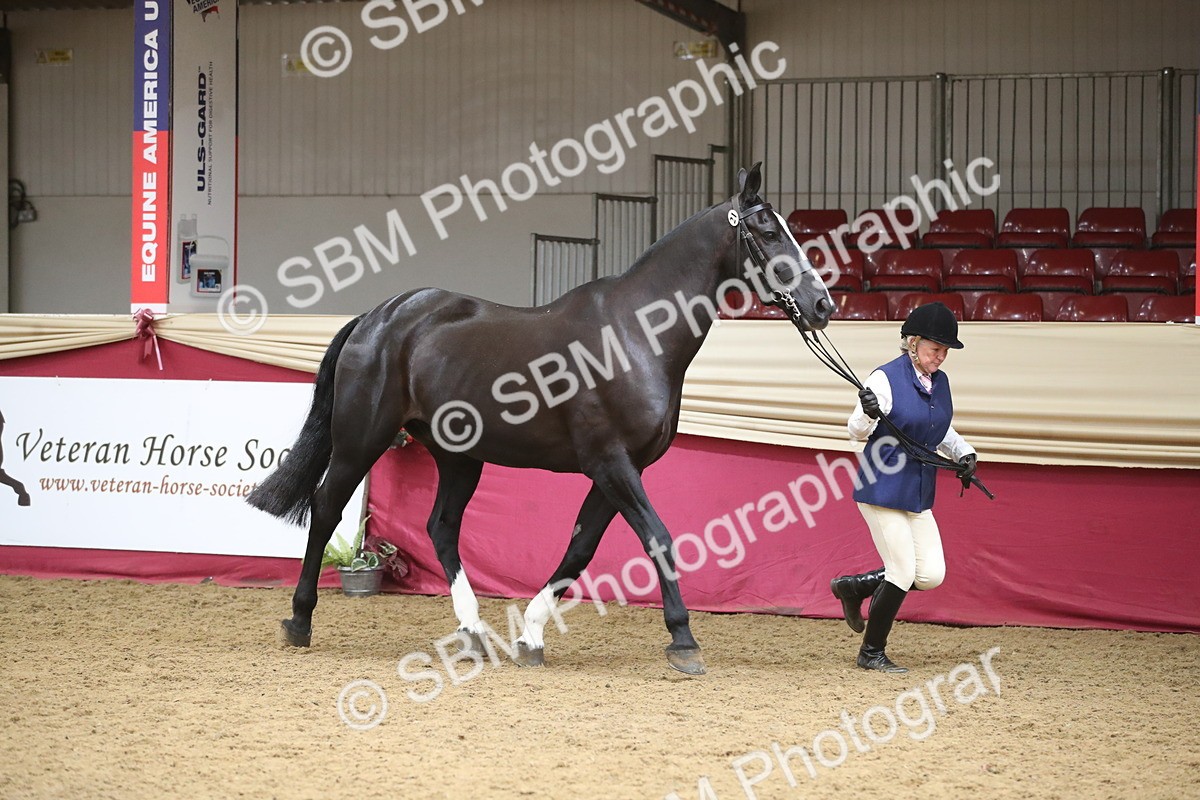 SBM_05277 - Class 8R - Regional IH Veteran