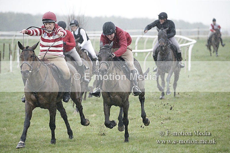 PtP 150320 0015 - New Forest Point-to-Point Larkhill 15/03/20