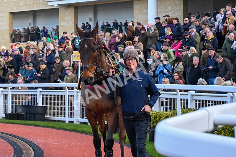 250125-Race 3-Gemirande-3237 - Race 3