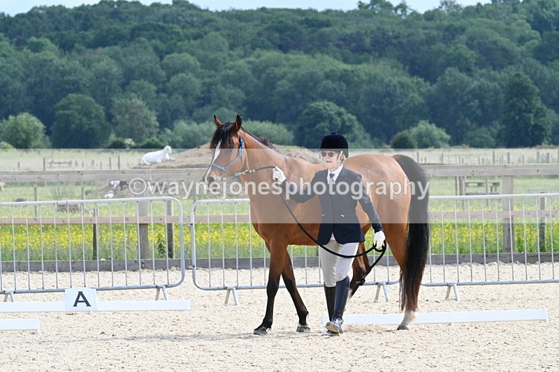 WJ7_8193 - Time 16:10 to 16:25