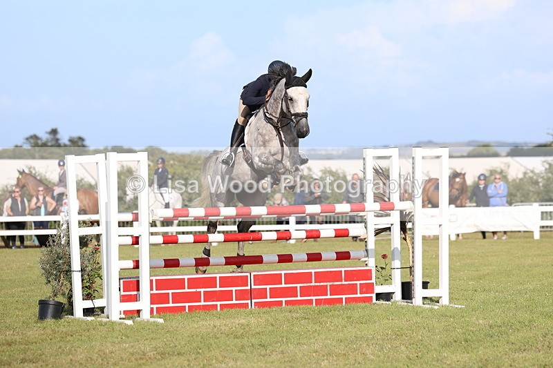 3E7A4401 - Class C: Showjumping Senior Foxhunter