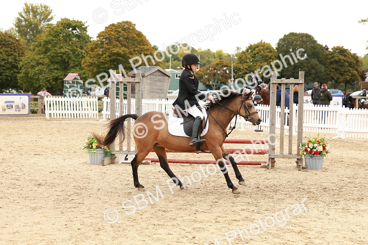 SBM_61866 - J12 - Junior Pony 55cm Championship