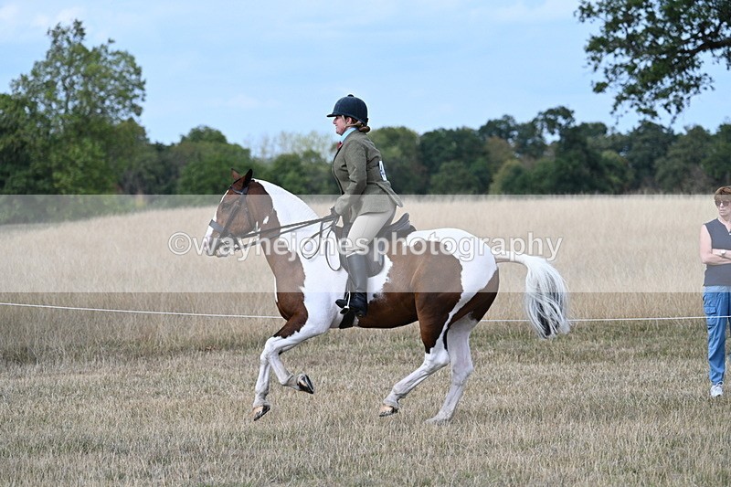 WJ7_7297 - Class 14 Ridden Coloured