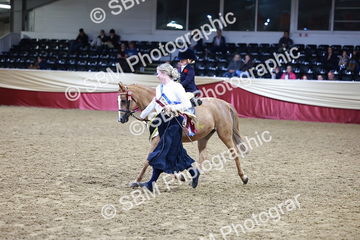 SBM_20608 - Class H - IH Competition - Riding Club champ