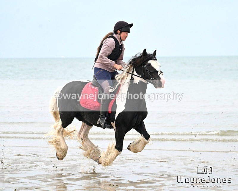 WJ7_9085 - Hayling Island Beach Shoot 22-09-24